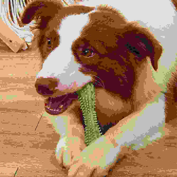 Chew Toys For Dog Teeth Cleaning.