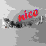 Wall cat furniture pine wall hanging.