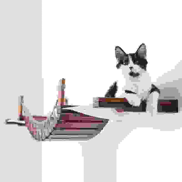 Cat Suspension Bridge Rope Ladder Hemp Rope Soft Ladder Wooden Bridge Solid Wood Cat Wall Climbing Frame Pet Furniture Cat Bridge Wall Hanging Type Plus Accessories.