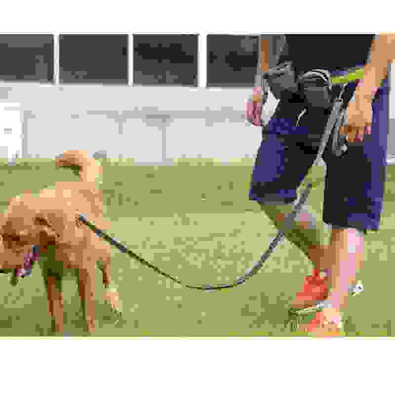 Adjustable Hands Free Dog Leash.