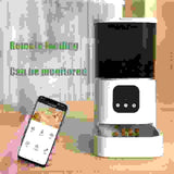 Pet Automatic Feeder Large Capacity Smart Voice Recorder APP Control Timer Feeding Cat Dog Food Dispenser With WiFi Pet Bo.