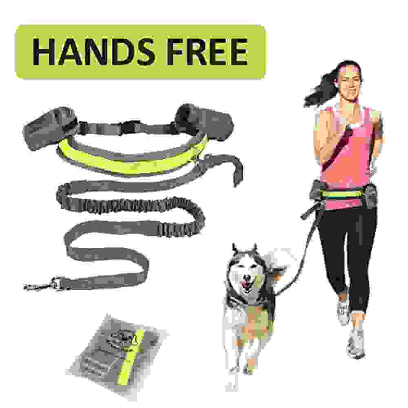 Adjustable Hands Free Dog Leash.