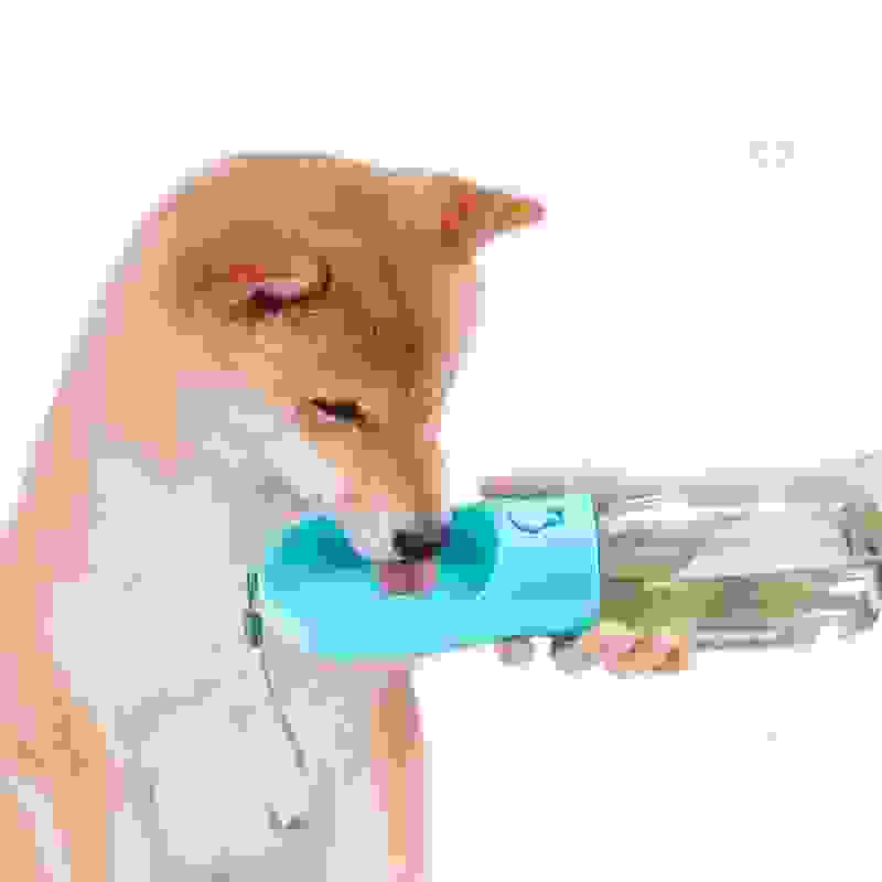 Large Capacity Outdoor Portable Travel Pet Water Bottle.