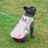 Summer Pet Outdoor Breathable Cooling Vest.