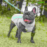 Summer Pet Outdoor Breathable Cooling Vest.