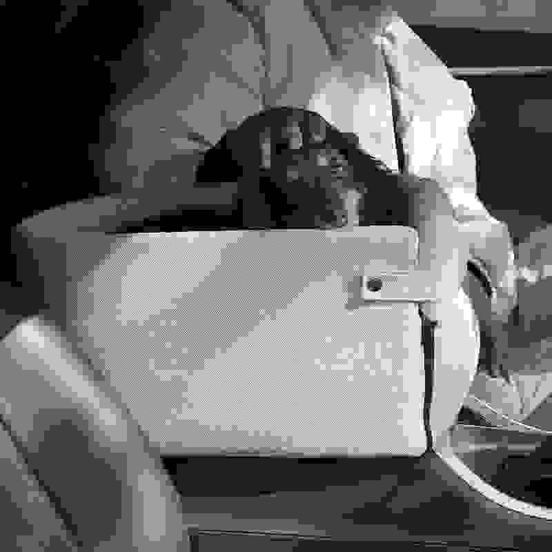 Car Central Dog Car Seat Bed Portable Dog Carrier For Small Dogs And Cats Safety Travel Bag Accessories Pet Products.