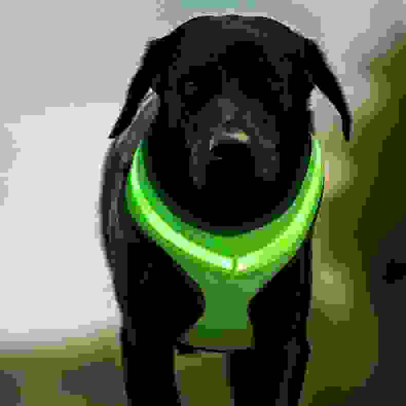 LED Luminous Dog Harness Led USB Charging Dog Chest Strap Vest Pet Safety Reflective Harness Pet Vest For Puppy Large Dog Pet Products.