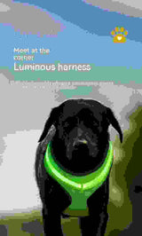 LED Luminous Dog Harness Led USB Charging Dog Chest Strap Vest Pet Safety Reflective Harness Pet Vest For Puppy Large Dog Pet Products.
