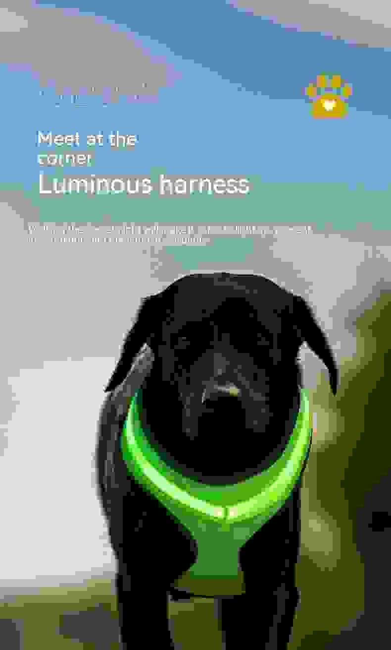 LED Luminous Dog Harness Led USB Charging Dog Chest Strap Vest Pet Safety Reflective Harness Pet Vest For Puppy Large Dog Pet Products.