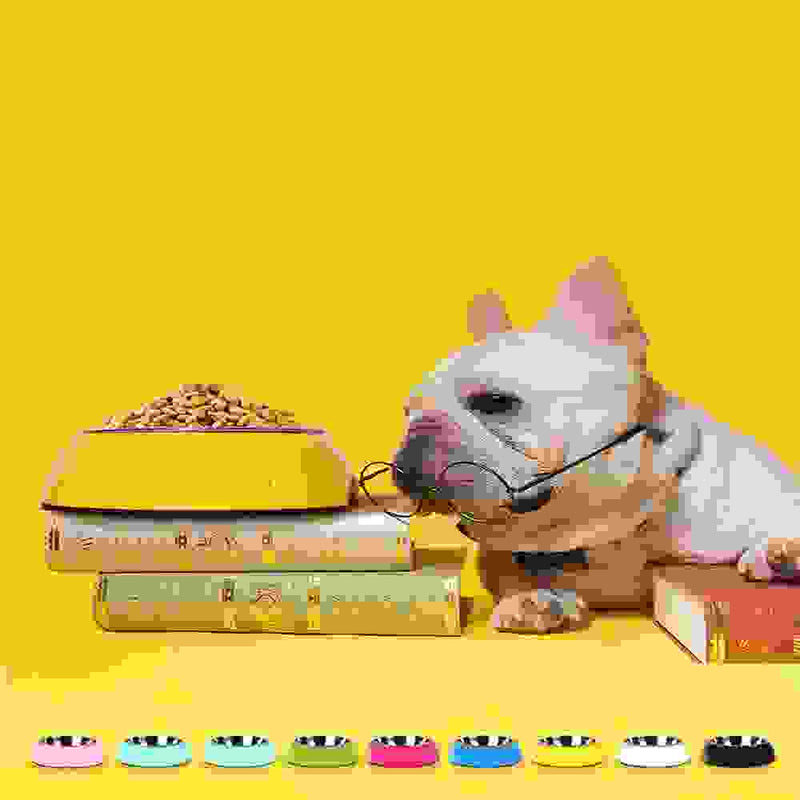 Dog Supplies Bowls Large Stainless Steel Food Bowls Pet Cat Bowls.