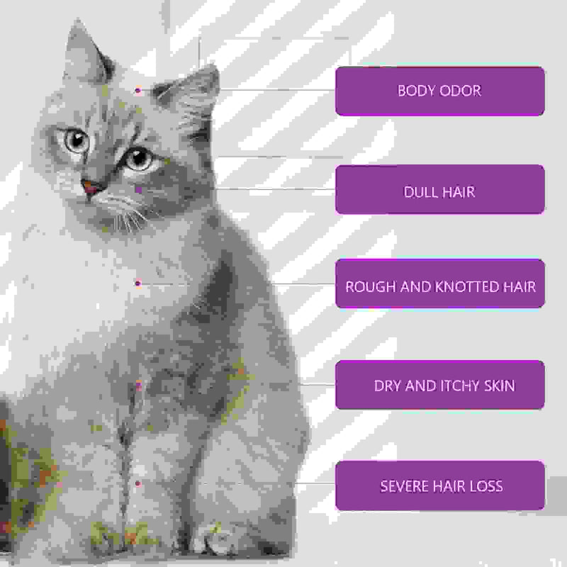 Pet Shampoo Pet Bath Relieve Skin Itching Hair Soft Non-knotted Shampoo.