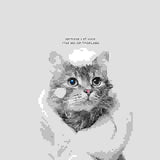 Cat Bath Lotion Pet Shampoo.