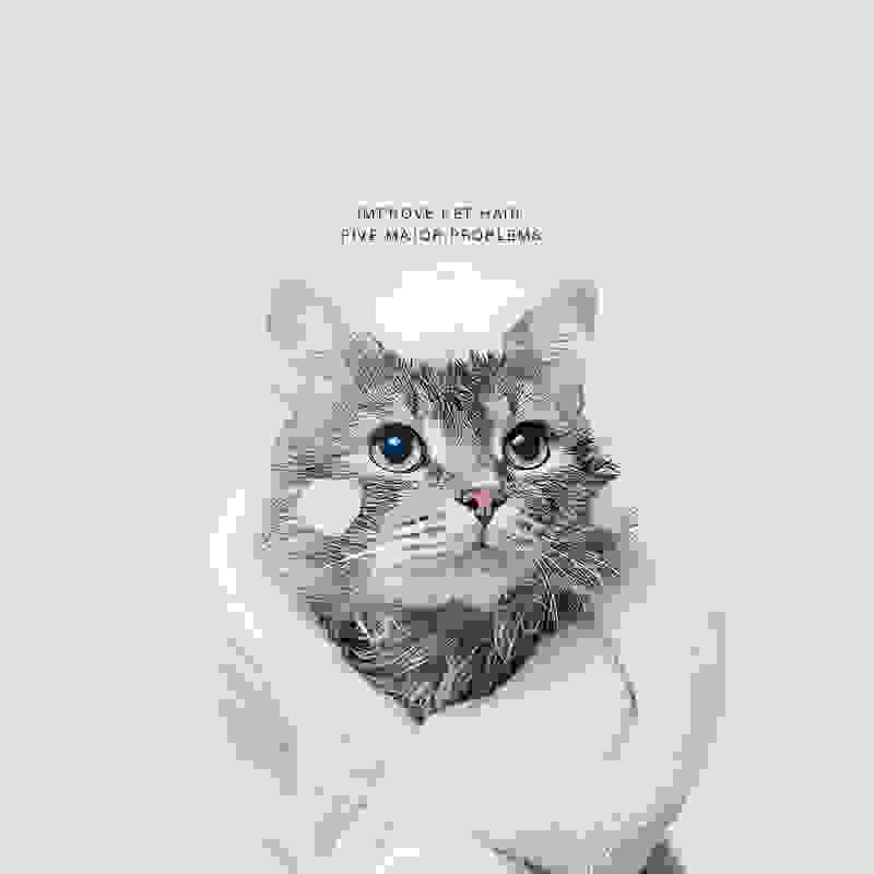 Cat Bath Lotion Pet Shampoo.